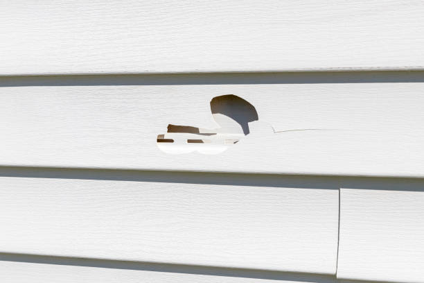 Best Custom Trim and Detailing for Siding  in Sixteen Mile Stand, OH